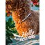 Mimosa - Renkli Kedi Köpek Kolyesi 