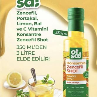 Otsa Konsantre Zencefil Shot 350 gr
