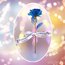 Galaxy Rose | Mavi