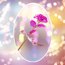 Galaxy Rose | Pembe