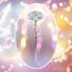 Galaxy Rose | Beyaz 