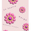 Teddy Bear Rose | Pembe