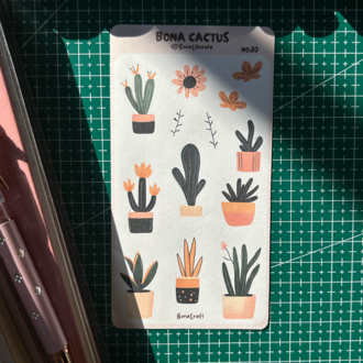 Bona Cactus No:80