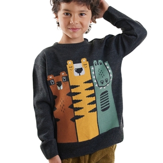 Denokids Hayvanlar Erkek Çocuk Triko Kazak
