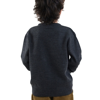 Denokids Hayvanlar Erkek Çocuk Triko Kazak