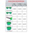 ROSHAMBO Wayfarer Model Millhouse Mavi Aynalı Mavi Lens Çocuk Güneş Gözlüğü-Junior
