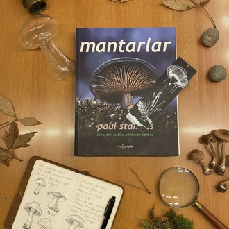 Fantastik Mantar Ayracı | BookyFancy