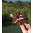 SEDEFLİ AÇIK MOR LOTUS TOKA 8CM