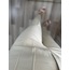 ZR MODEL LUX KALİTE PENSLİ KUMAŞ PANTOLON