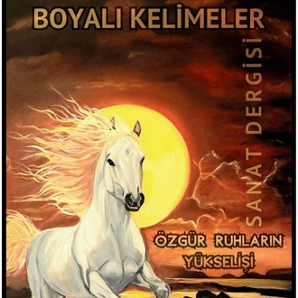 ÖZEL SERİ