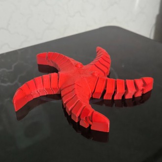 Hareketli Denizyıldızı - Eklemli Masaüstü Aksesuarı