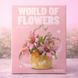Saksılı Cosmos Çiçeği