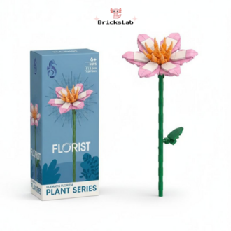 Brick Çiçek Clematis – Pastel Zarafet Seti