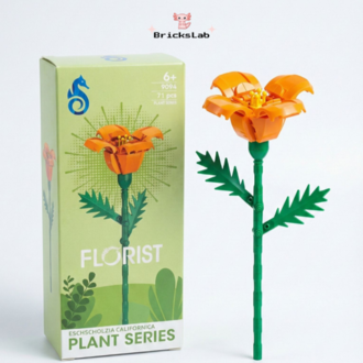 Brick Çiçek Eschscholzia – Canlı Turuncu Set