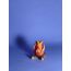 Calcifer .・✫・゜・。.