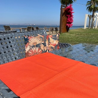 Red Palm 45x45 Kırlent Kılıfı