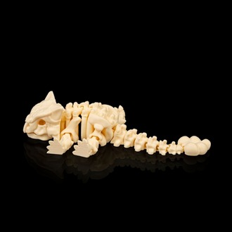 Ankylosaurus İskeleti