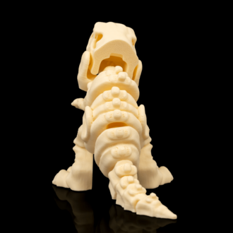 T-Rex İskeleti