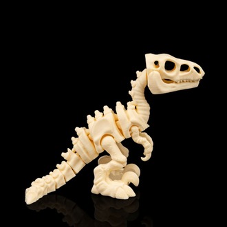 Velociraptor İskeleti