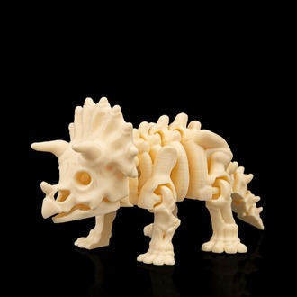 Triceratops İskeleti