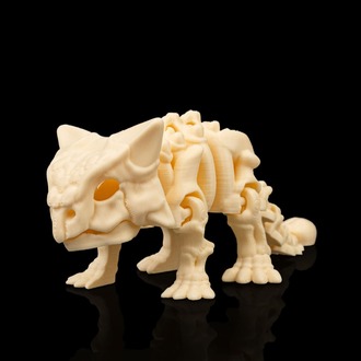 Ankylosaurus İskeleti