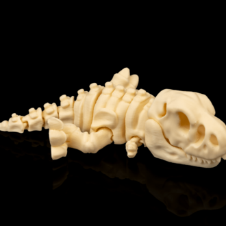 T-Rex İskeleti