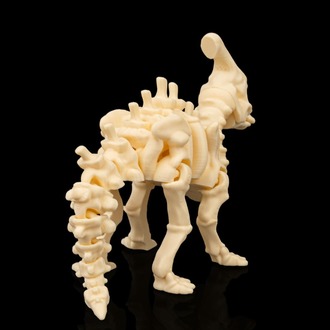 Parasaurolophus İskeleti
