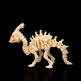 Parasaurolophus İskeleti