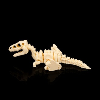 Velociraptor İskeleti