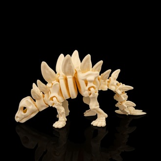 Stegosaurus İskeleti