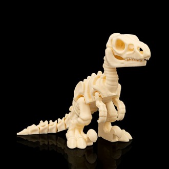 Velociraptor İskeleti