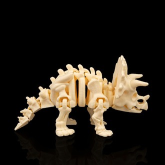 Triceratops İskeleti
