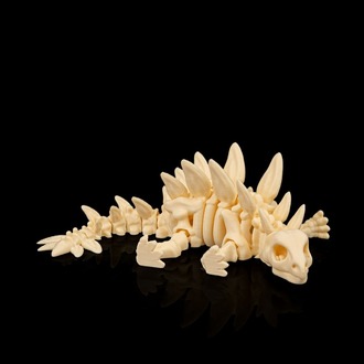 Stegosaurus İskeleti