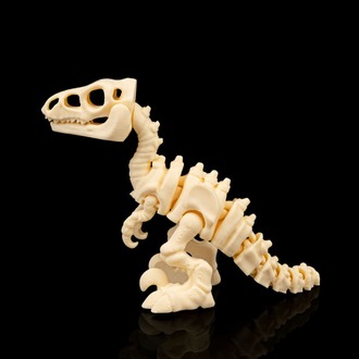 Velociraptor İskeleti
