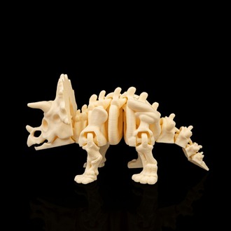 Triceratops İskeleti