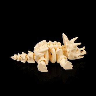Triceratops İskeleti