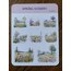 Spring Scenery Sayfa Sticker