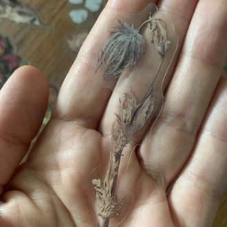 Dried Flowers Pet Stickers