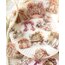 Romantic Dream Serisi Pet Sticker Setleri