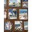 Shape Of Water Pet Stickers