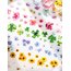 Beautiful Flowers Die-Cut Pet Bantlar/1 döngü