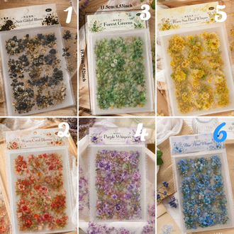 Floral Whispers Pet Sticker Sheets Pack