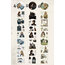 Beautiful Moments Pre-cut Pet Stickers/1 döngü