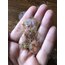 Time İs Now Hologram Pet Sticker Pack