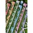 Colourful Floral Dream Washi Bantlar (Bütün Rulo)