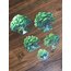 Forest Trees Pet Sticker Pack