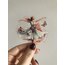 Graceful Dance Pet Stickers