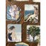 Shape Of Water Pet Stickers