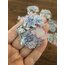 Flowers in full Bloom Pet Stickers/Blue