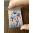 Earth Laughs İn Flowers Sticker Kitapçığı